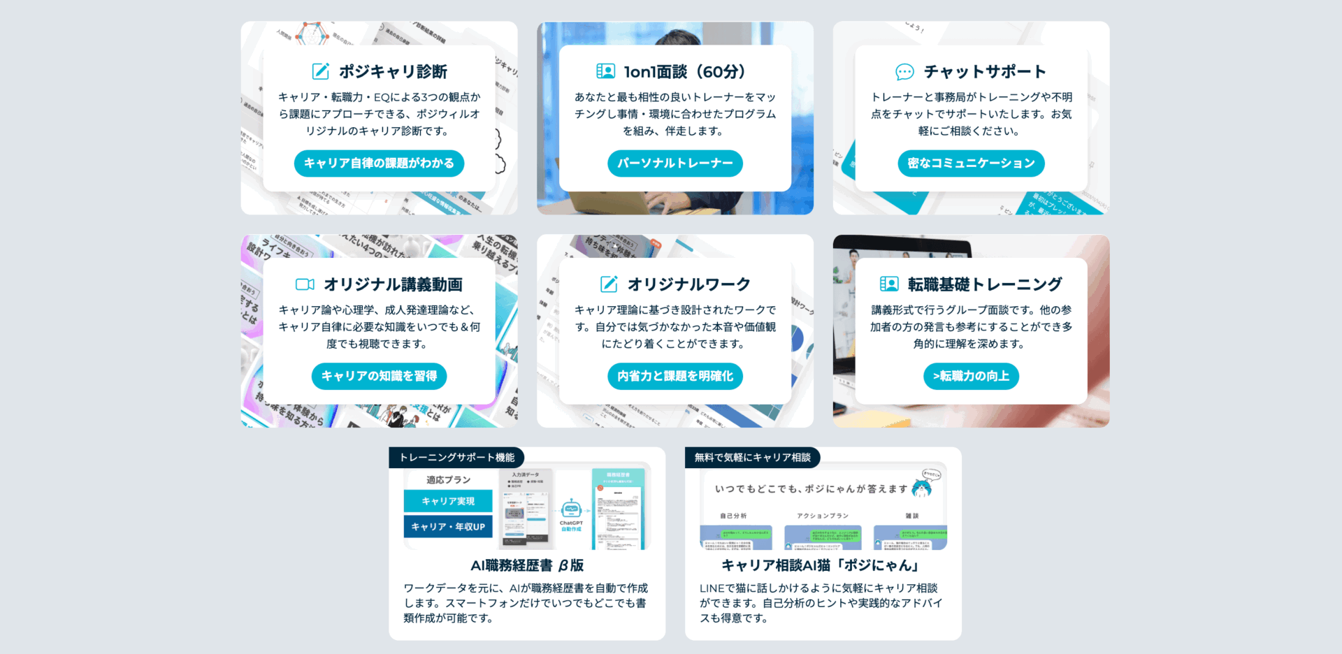 ポジウィルキャリアの画像4