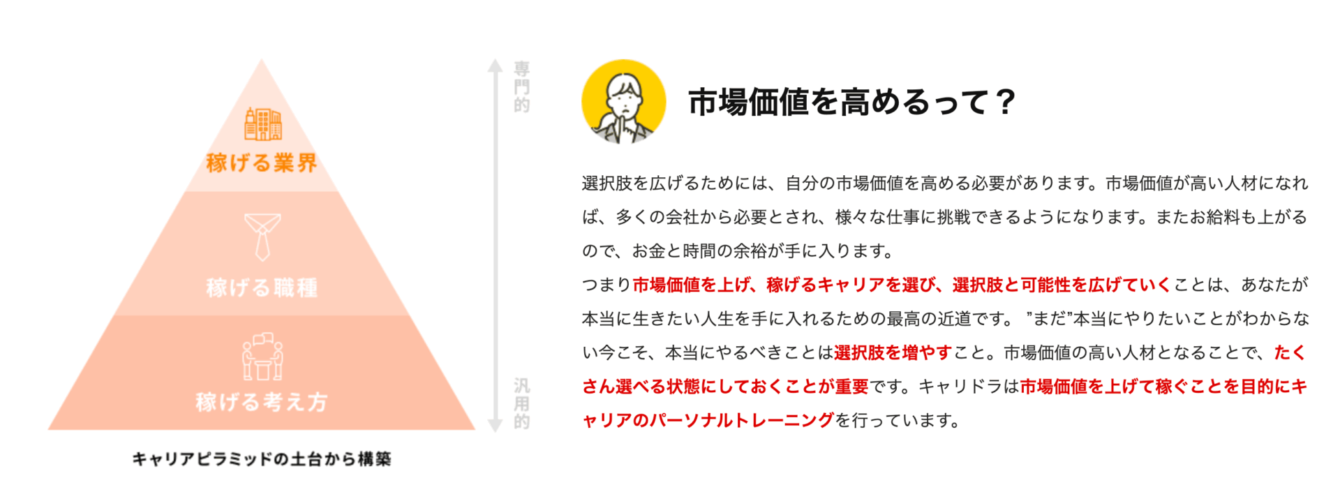 キャリドラの画像2